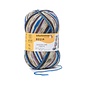Schachenmayr 4-f Regia Pairfect Design Line  A&C Tokke Color 02463