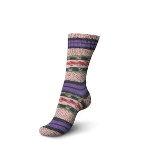 Schachenmayr 4-f Regia Pairfect Design Line  A&C Siljan Color 02459