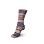 Schachenmayr 4-f Regia Pairfect Design Line  A&C Siljan Color 02459