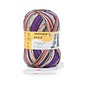 Schachenmayr 4-f Regia Pairfect Design Line  A&C Siljan Color 02459