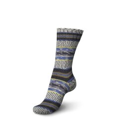 Schachenmayr 4-f Regia Pairfect Design Line  A&C Bamble Color 02460