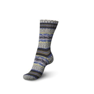 Schachenmayr 4-f Regia Pairfect Design Line  A&C Bamble Color 02460
