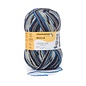 Schachenmayr 4-f Regia Pairfect Design Line  A&C Bamble Color 02460