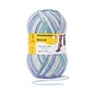 Schachenmayr 4-f Regia Pairfect Design Line Kaffe Fassett Sugared Almonds Color 03772
