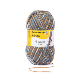 Schachenmayr 4-f Regia Eiszapfen Color 07710