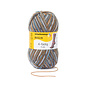 Schachenmayr 4-f Regia Eiszapfen Color 07710