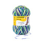 Schachenmayr 4-f Regia Pfau Color 07205