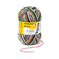 Schachenmayr 4-f Regia Tropical Color 09386