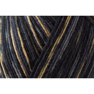 Schachenmayr 4-f Regia Schlittschuh Color 07711
