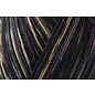 Schachenmayr 4-f Regia Schlittschuh Color 07711