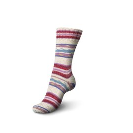 Schachenmayr 4-f Regia Design Line A&C  Nissedal Color 03768