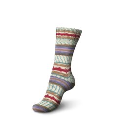 Schachenmayr 4-f Regia Design Line A&C  Sauherad Color 03767