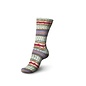 Schachenmayr 4-f Regia Design Line A&C  Sauherad Color 03767