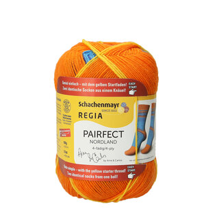 Schachenmayr 4-f Regia Pairfect Design Line  A&C Bindal Color 06821