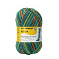 Schachenmayr 4-f Regia Design Line A&C Utnefjord Color 07033