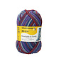 Schachenmayr 4-f Regia Design Line A&C Hardangerfjord Color 07029