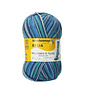 Schachenmayr 4-f Regia Design Line A&C Veslpiggen Color 07032