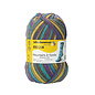 Schachenmayr 4-f Regia Design Line A&C Galdhopiggen Color 07030