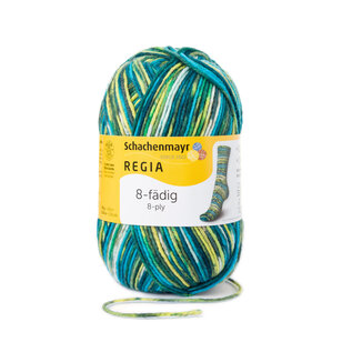 Schachenmayr 8-f Regia Moss Blue Color 08137