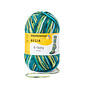 Schachenmayr 8-f Regia Moss Blue Color 08137