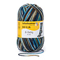 Schachenmayr 8-f Regia Island Color 08078
