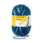 Schachenmayr 8-f Regia Arctis Blue Color 08135