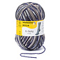 Schachenmayr 6-f Regia Irland Grau Color 05858