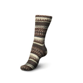 Schachenmayr 6-f Regia Aurland Color 02794