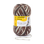 Schachenmayr 6-f Regia Aurland Color 02794