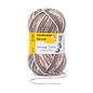 Schachenmayr 6-f Regia Trondheim Color 02791