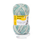 Schachenmayr 6-f Regia Voss Color 02787