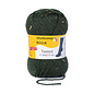 Schachenmayr 6-f Tweed Regia Ioden 01994