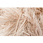 Schachenmayr Brazilia Kamel 00003