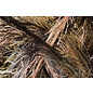 Schachenmayr Brazilia Camouflage 00123