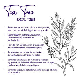 Facial Toner - Tea Tree