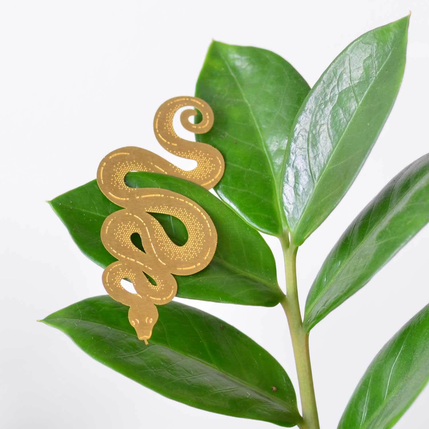 Slang Plant Animal WAUW Warenhuis
