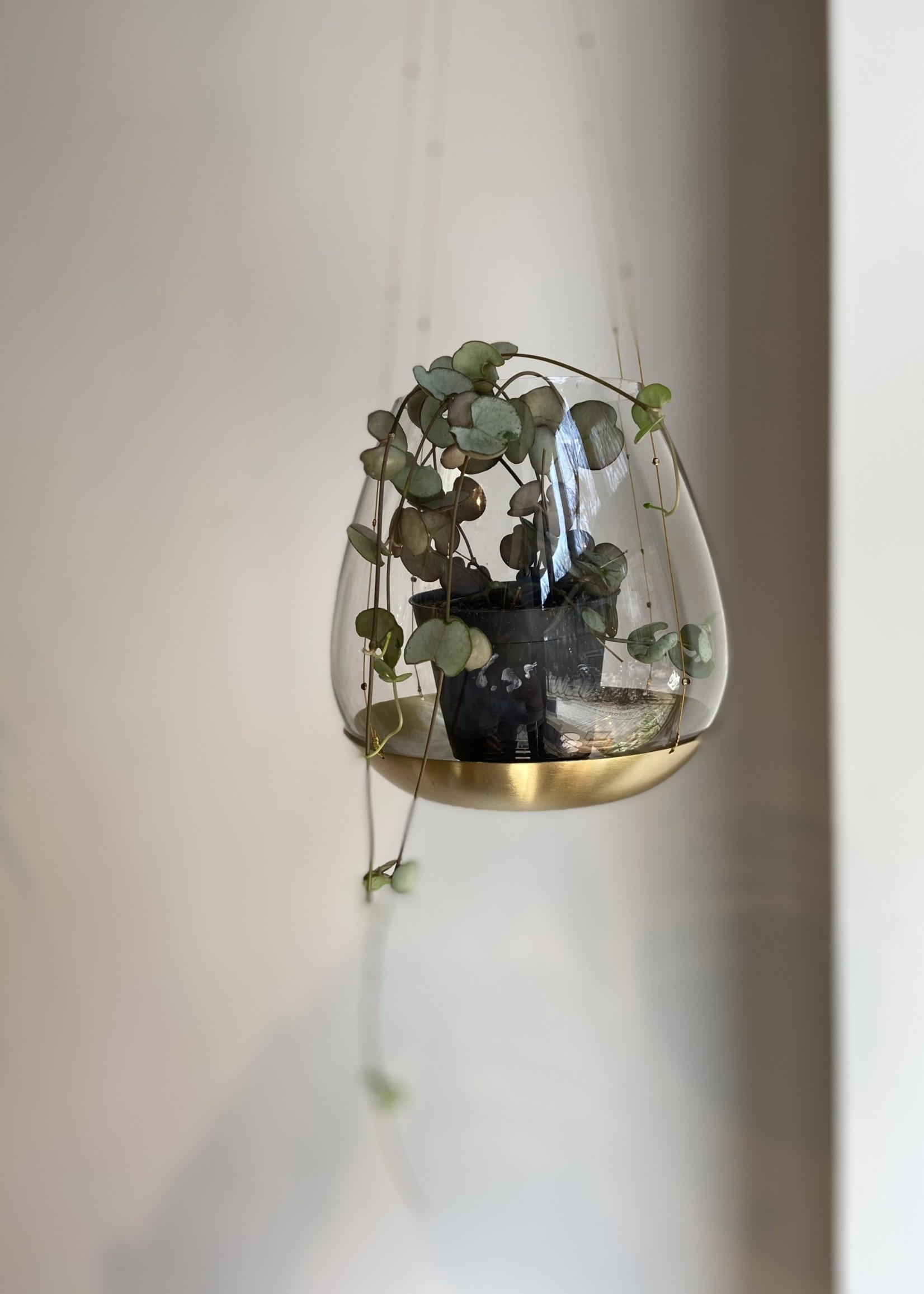 Affari Theelicht houder hangend glas met gouden schotel 15cm LARGE