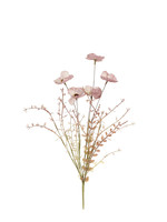MICA Zijden bloemen DROOG boeket KLAPROOS roze