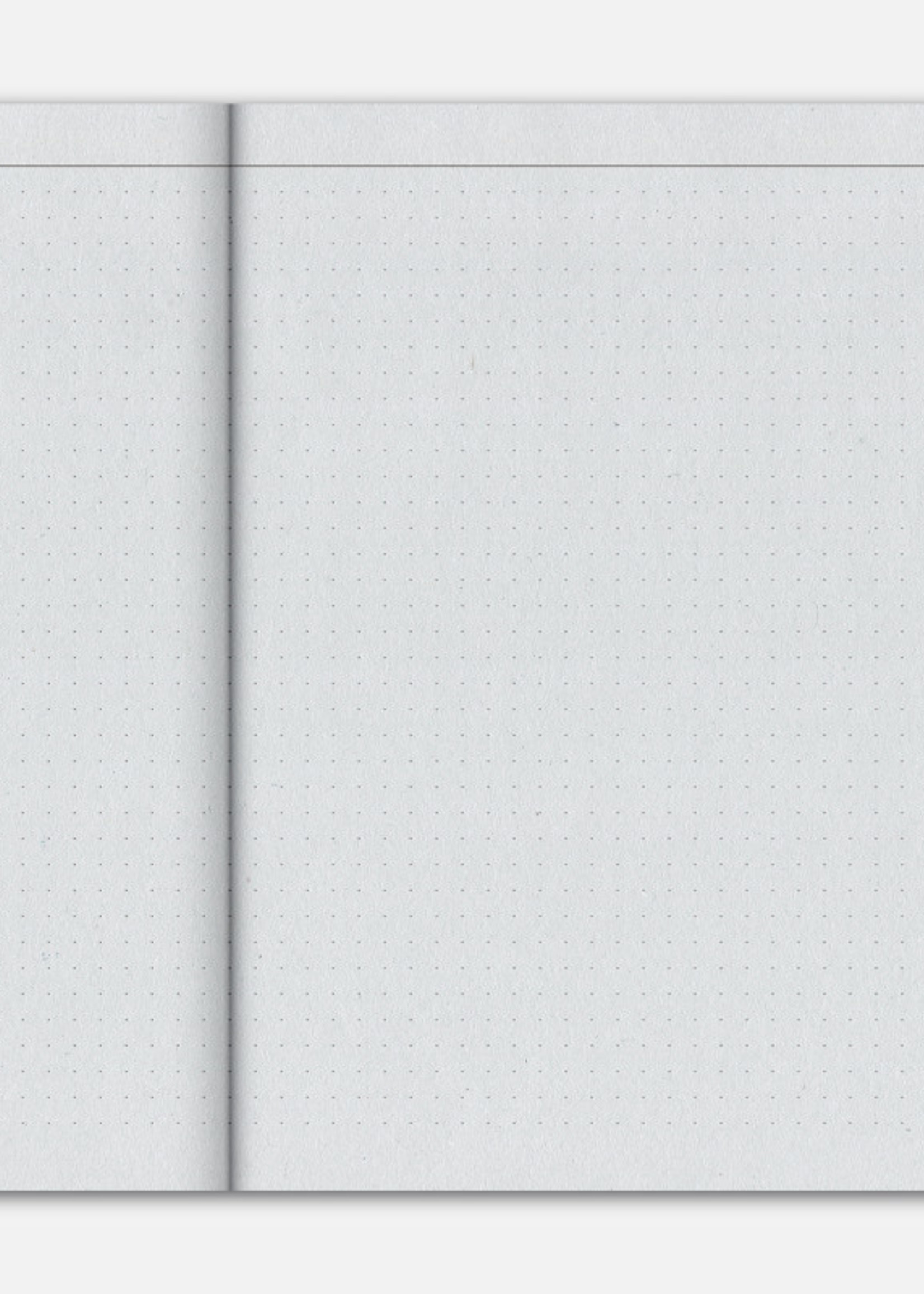 Papier tigre Schrift notebook MODULE A5 bullet journal