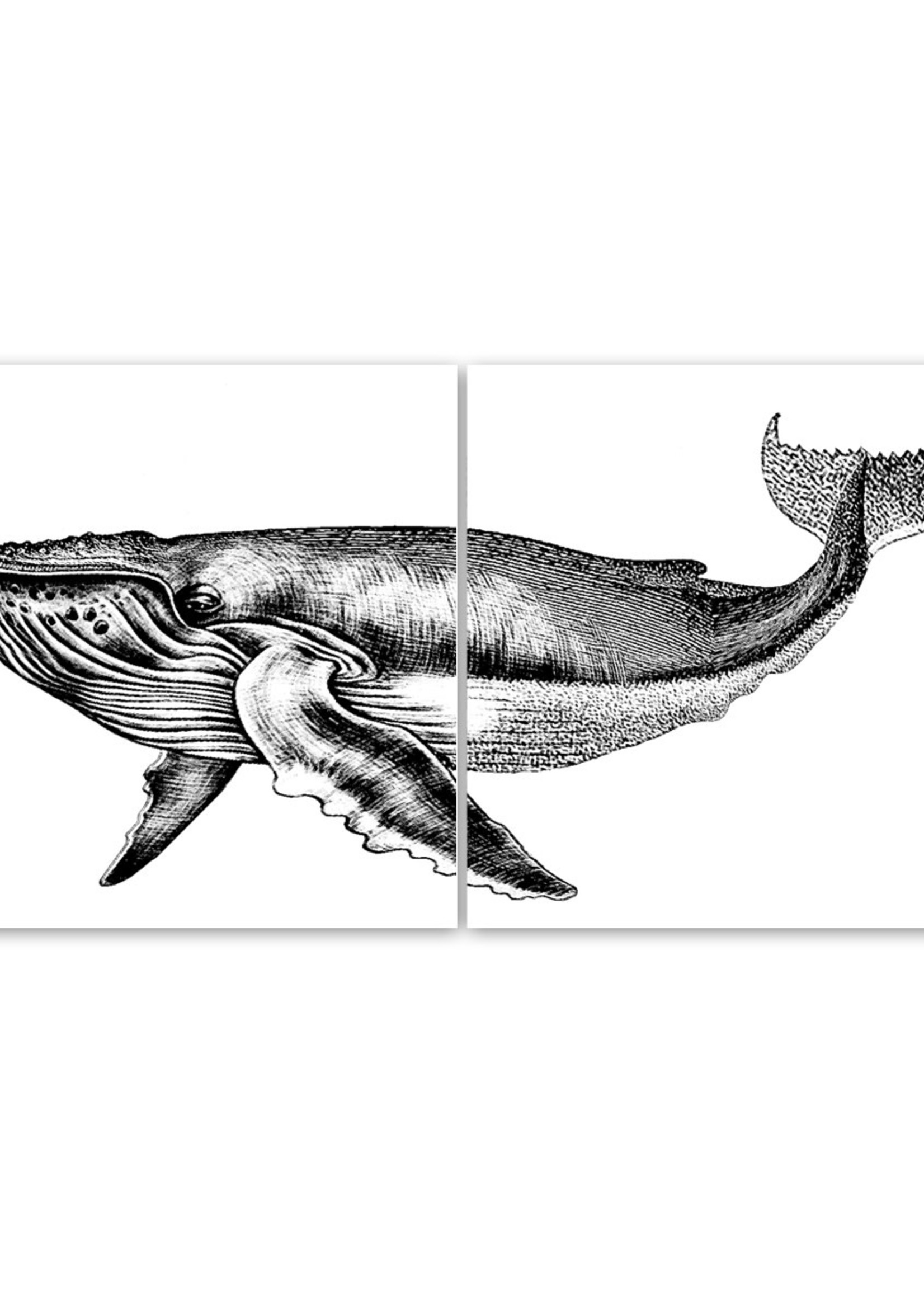Boubouki Tegelsticker DAVID walvis 15x15cm set van 2