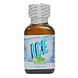 ICE Mint 24ml