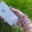 Transparant hoesje iPhone 7 plus / 8 plus | Incl. Roze + bruin koord