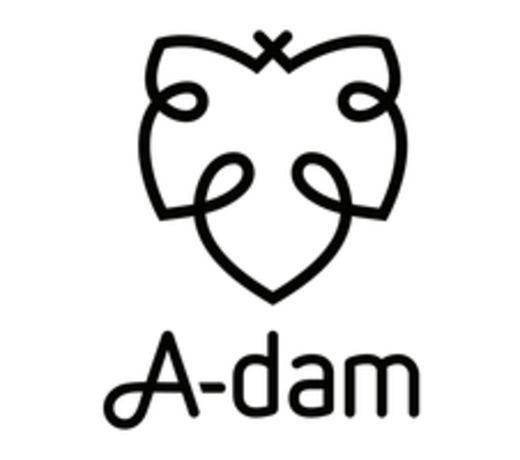 A-dam Underwear