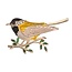 Fako Bijoux® - Broche - Vogel - Vogel Op Tak - 45x26mm - Geel