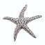Fako Bijoux® - Broche - Zeester - Kristal - 56mm - Wit