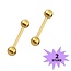 Fako Bijoux® - Barbell Piercing - 12mm - Goudkleurig - 2 Stuks