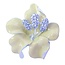 Fako Bijoux® - Broche - Orchidee - 47x50mm - Crème