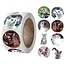 Fako Bijoux® - 500 Stickers Op Rol - 2.5cm - Echte Katten - Beloningsstickers - Stickers Kinderen - Sluitsticker - Sluitzegel - 25mm