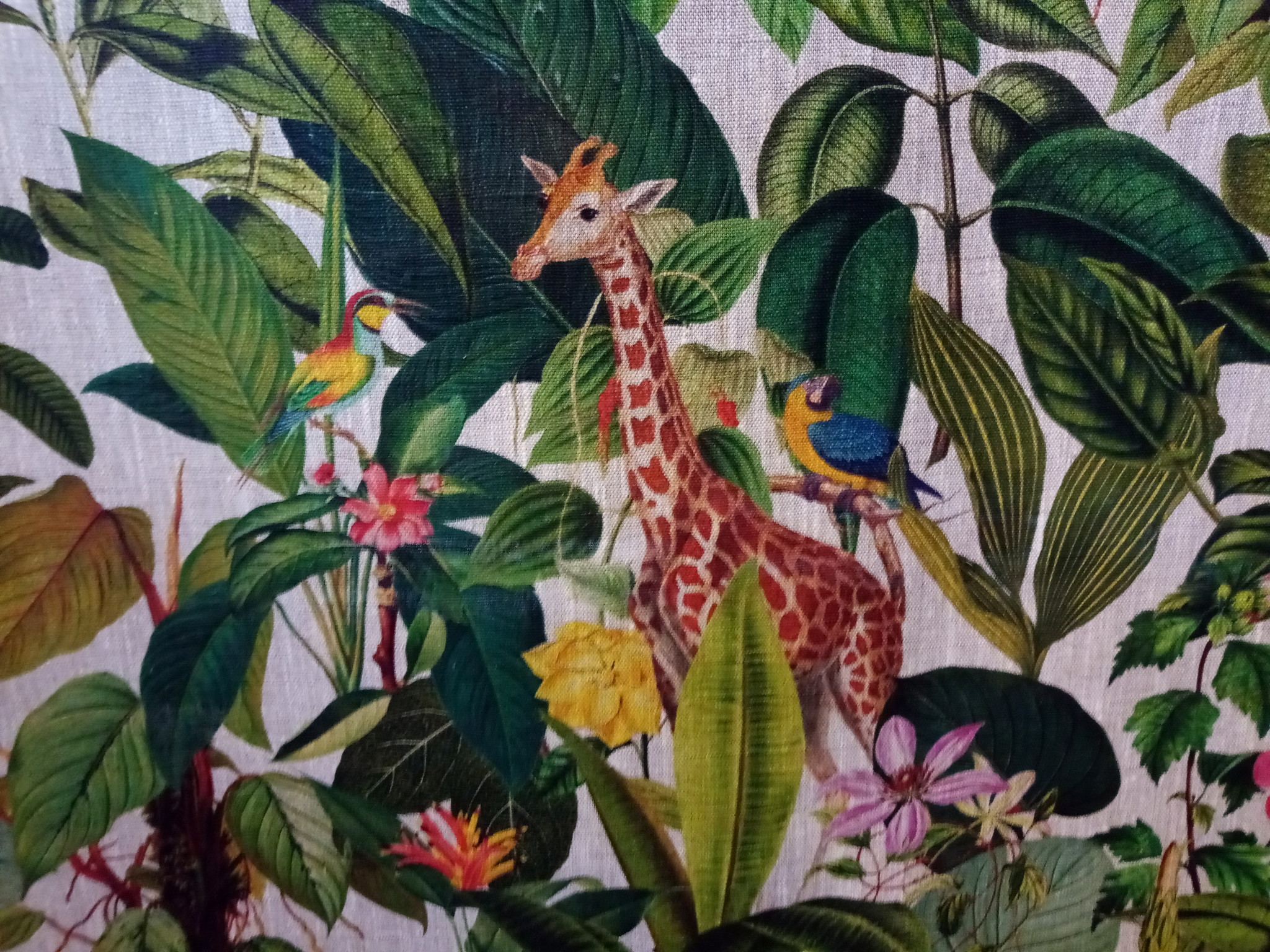 Tissu " girafe dans la jungle "