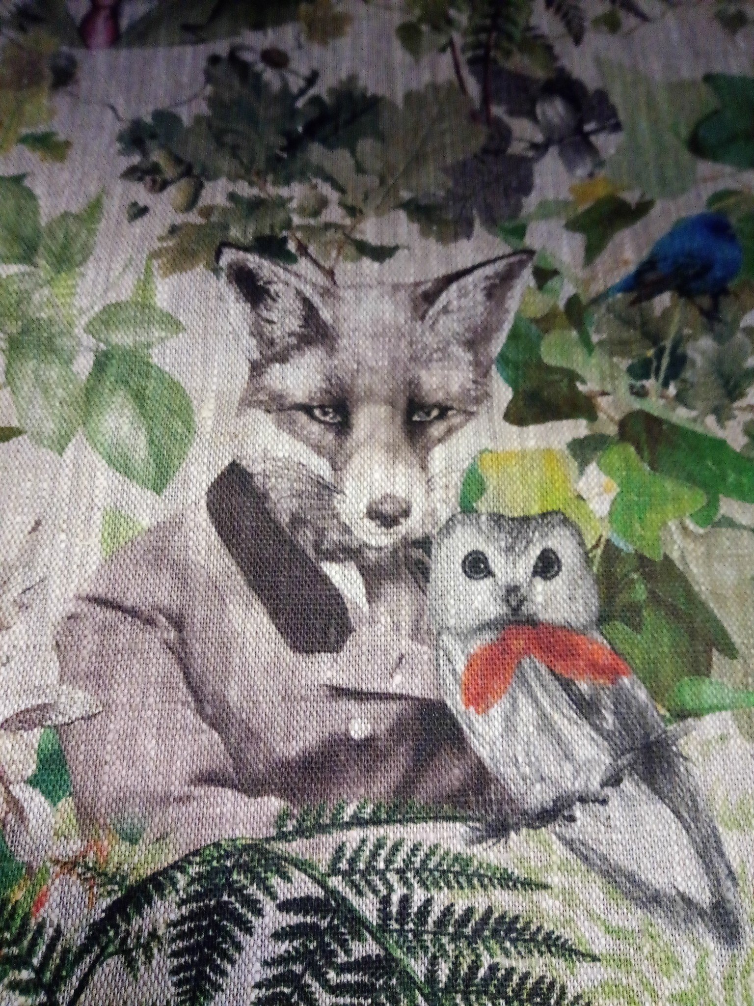 Fox fabric